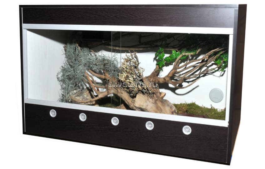 Стартовый комплект для эублефаров Lucky Reptile Starter Kit Leopardgecko, 80×50×50 см, чёрное дерево