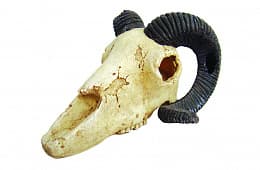 Декорация "Череп барана" Lucky Reptile Skull Ram, 19,5×7×12 см