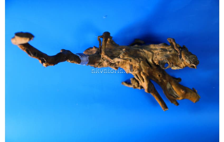 Коряга натуральная Сакура (Desert Driftwood), S