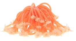 Искусственный коралл Vitality оранжевый (RT187OR)