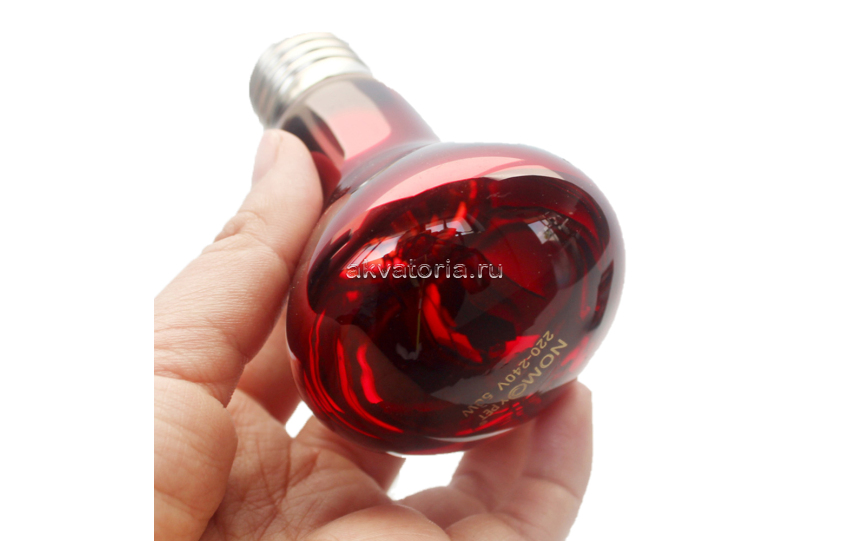 Террариумная инфракрасная лампа Nomoy Pet Infrared Heating, 50 Вт
