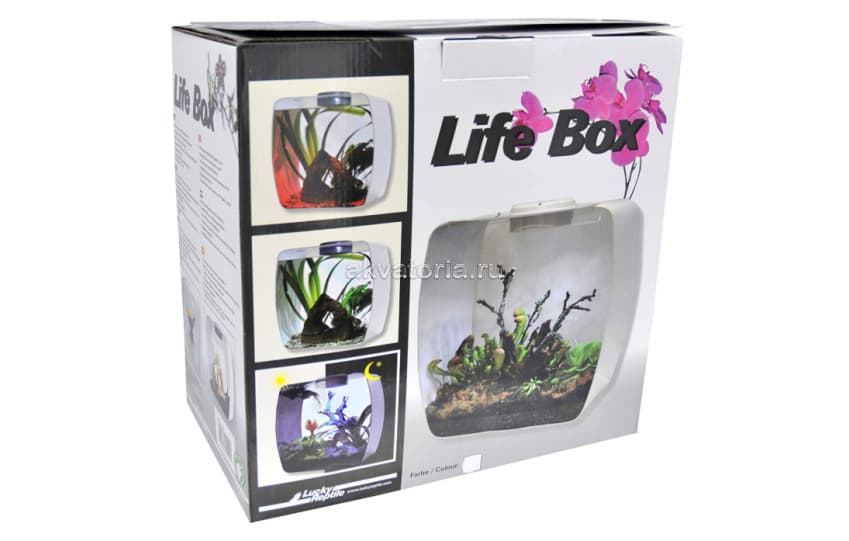 Инсектарий-аквариум Lucky Reptile Life Box, 35×20×35 см, фиолетовый