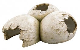 Аквариумная декорация PRIME «Яйца Динозавра» 15,5×12,5×6 см