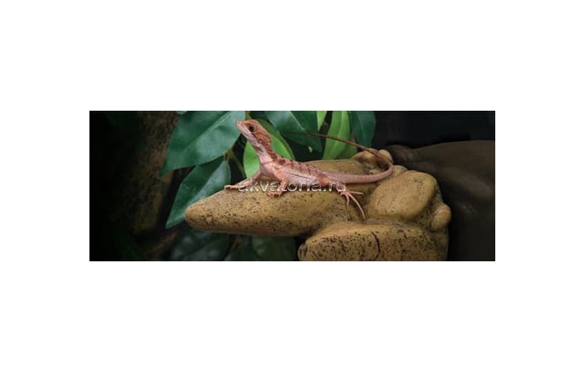 Навесная скала Hagen Exo Terra Elevated Outcrops, 20×18×8 см