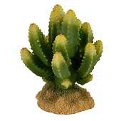 Искусственное растение Gloxy Стапелия