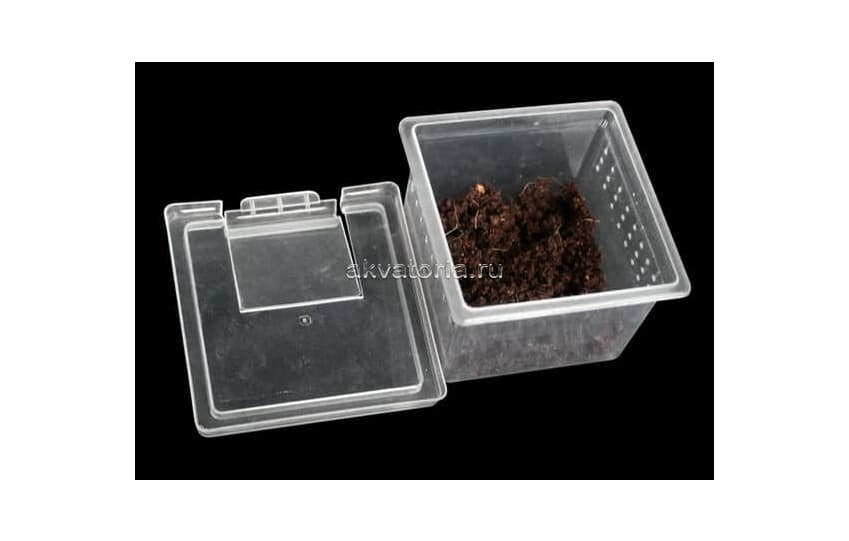 Отсадник Nomoy Pet Square Box H1, 7×7×4,5 см