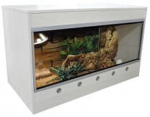 Стартовый комплект для эублефаров Lucky Reptile Starter Kit Leopardgecko, 80×50×50 см, клён