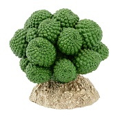 Искусственное растение Gloxy Монантес