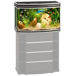 Биодизайн Altum Panoramic135