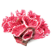 Искусственный коралл Laguna Кауластрея розовая