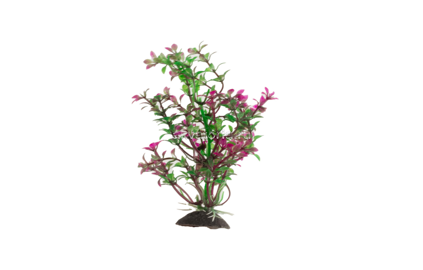 Искусственное растение Naribo Людвигия, 16 см