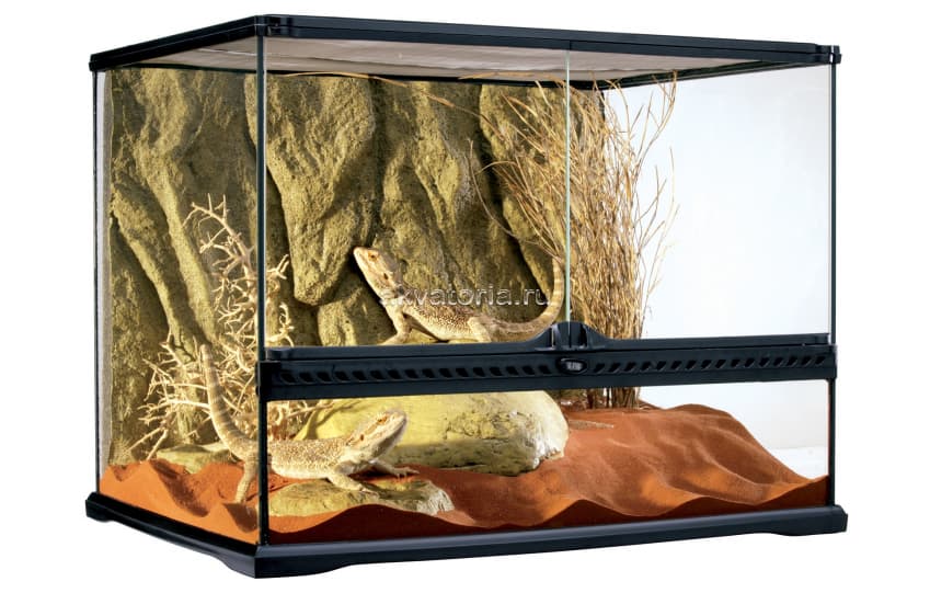Террариум из силикатного стекла Hagen ExoTerra Natural Terrarium Medium Wide 60х45х45 см