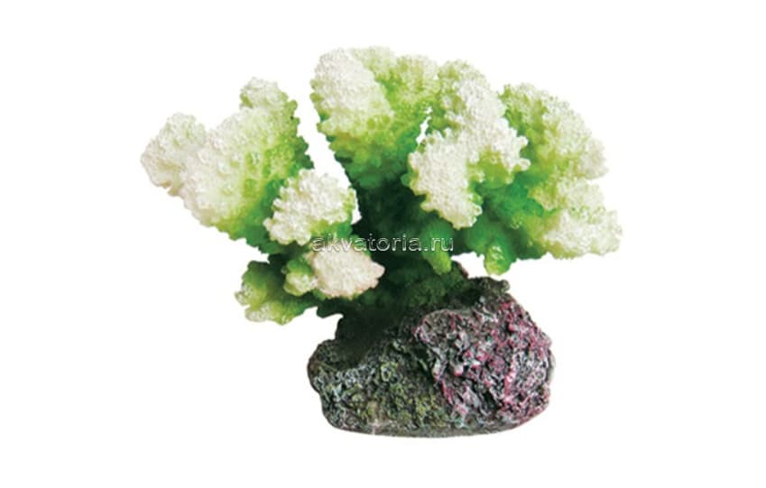Искусственный коралл ArtUniq Coral Green, зелёный