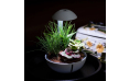 Набор для флорариума Chihiros Tiny terrarium egg