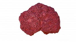 Искусственный коралл Marlin Aquarium Коралл красный
