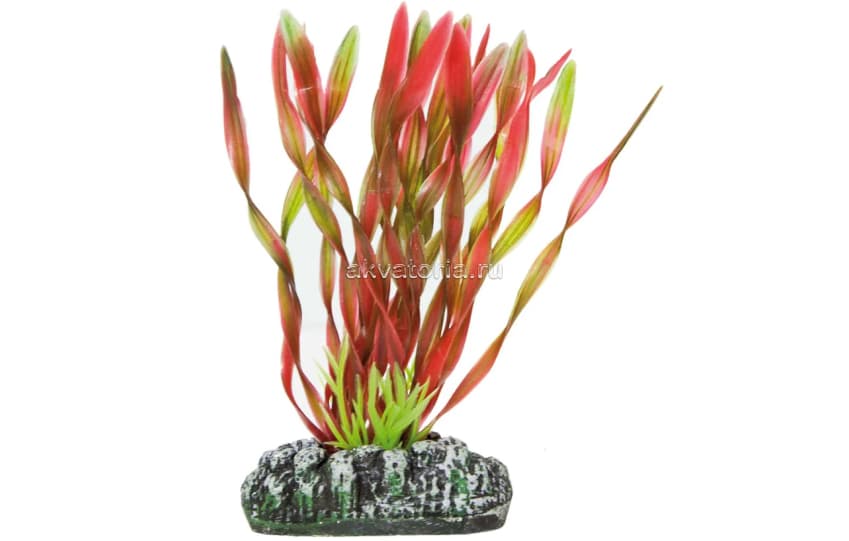 Искусственное растение Vitality Валлиснерия спиральная красно-зелёная, 20 см