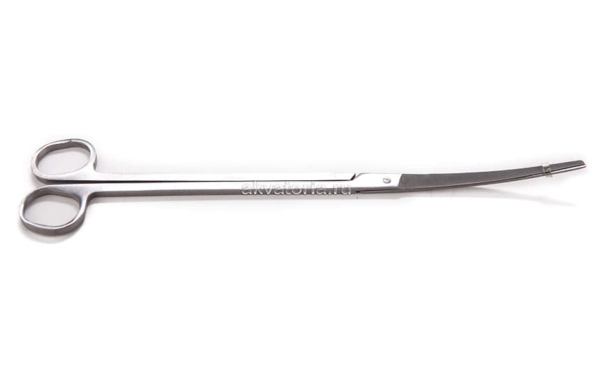 Ножницы с искривленными ножами Ista Scissors Curve End