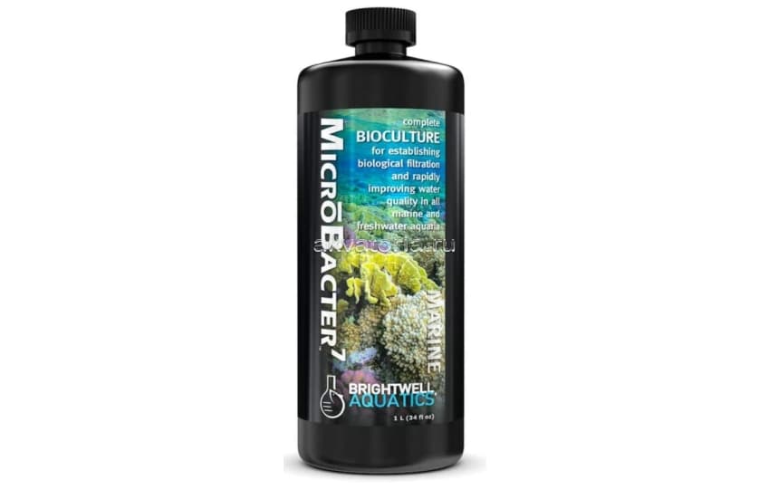 Добавка биокультуры Brightwell Aquatics MicroBacter7, 1 л