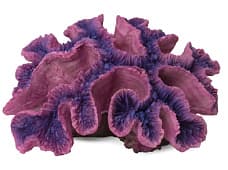 Искусственный коралл Laguna Симфиллия сине-фиолетовая