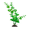 Искусственное растение Naribo Щитолистник, 22 см
