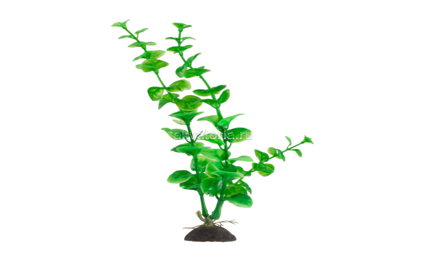 Искусственное растение Naribo Щитолистник, 22 см