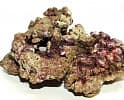 Живые морские камни, 1 кг
