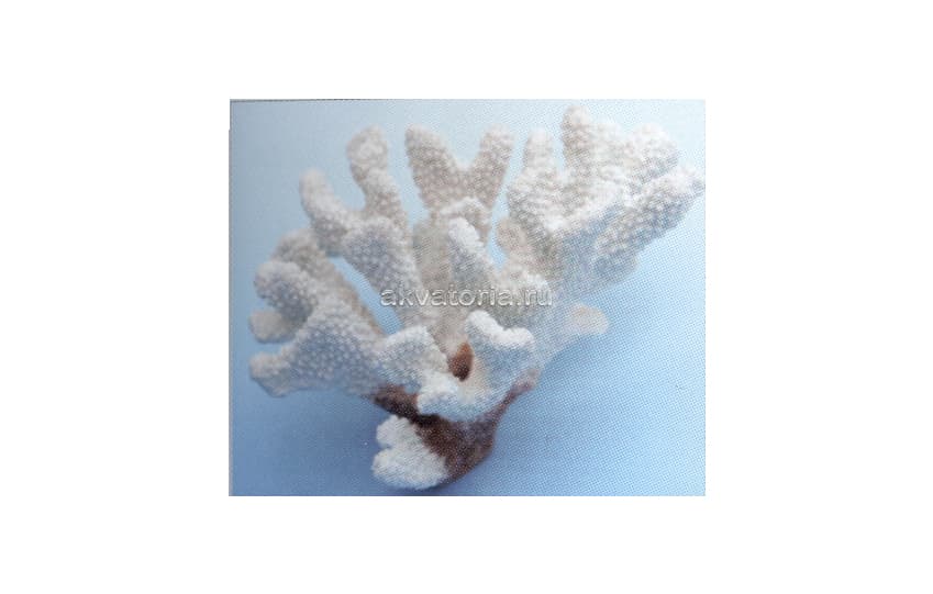 Искусственный коралл Vitality "Олений рог", белый (SH9200W)