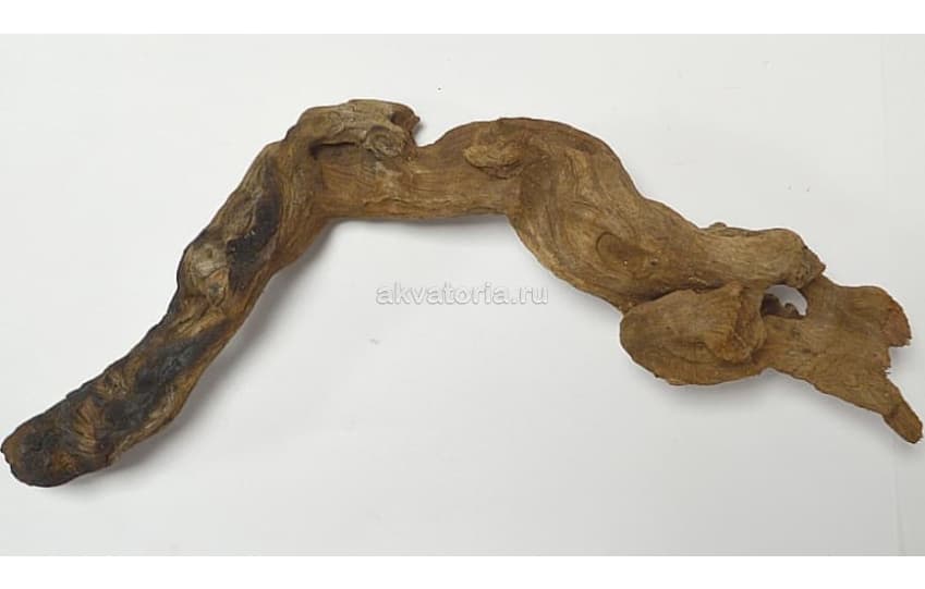 Коряга натуральная Magic Drift Wood, цена за кг