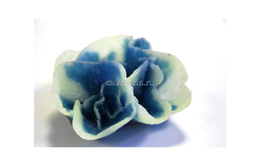 Искусственный коралл Vitality голубой, M (SH042B)