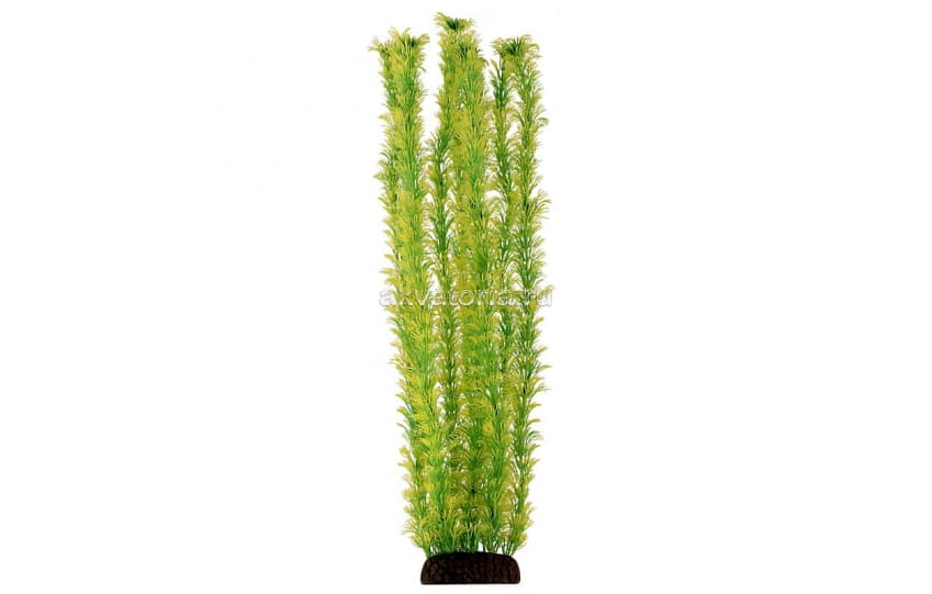 Искусственное растение Laguna Амбулия жёлто-зелёная, 50 см