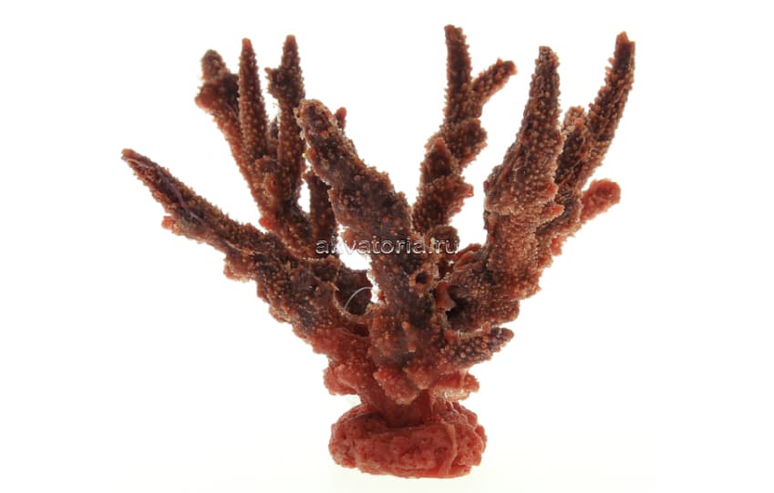 Искусственный коралл Vitality красный (SH035R)