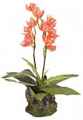 Искусственное растение Lucky Reptile "Орхидея красная", 25 см