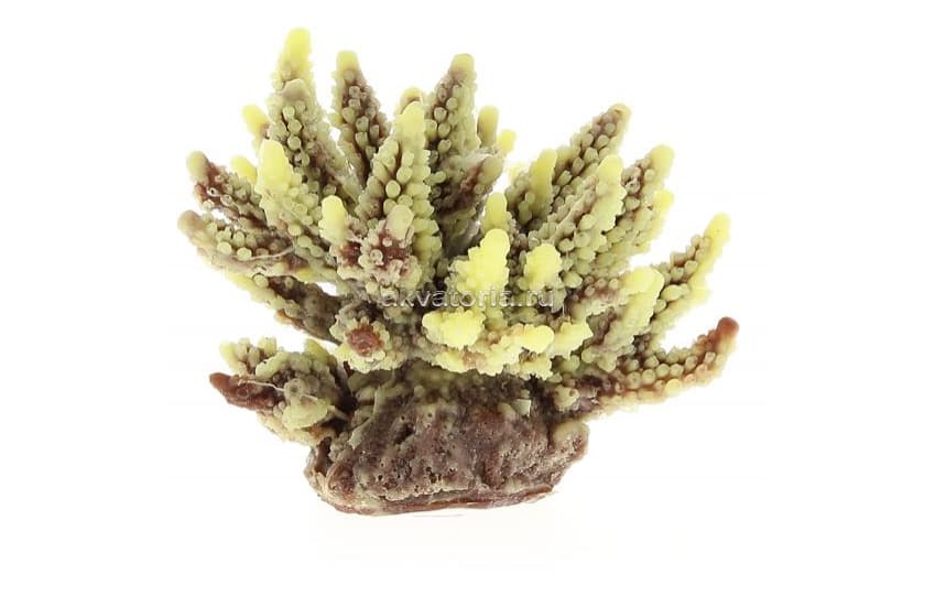 Искусственный коралл Vitality коричневый (SH095PU)
