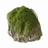 Аквариумная декорация камень с мхом AQUA DELLA «Moss Stone» 9×6×6,5 см