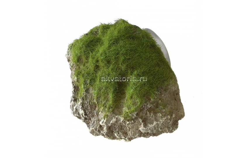 Аквариумная декорация камень с мхом AQUA DELLA «Moss Stone» 9×6×6,5 см