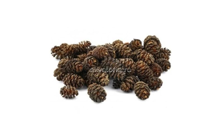 Шишки ольховые для водоподготовки Dennerle Black Cones, 50 шт