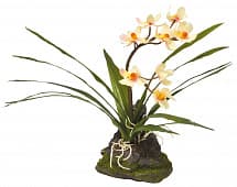 Искусственное растение Lucky Reptile "Орхидея белая", 40 см
