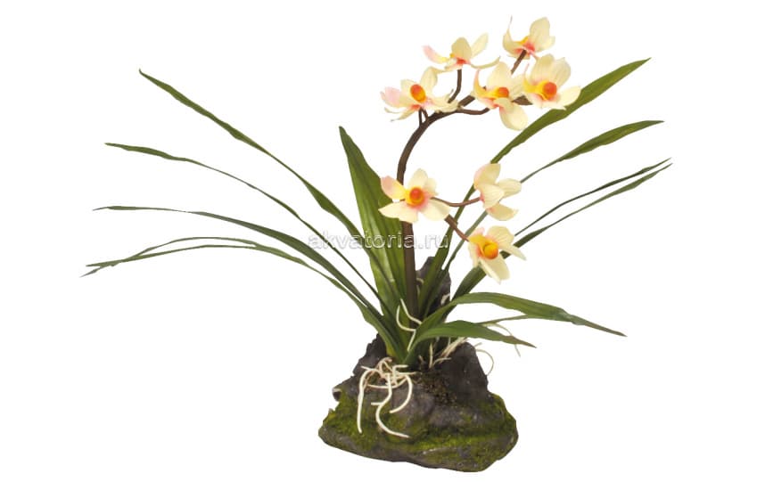 Искусственное растение Lucky Reptile "Орхидея белая", 40 см