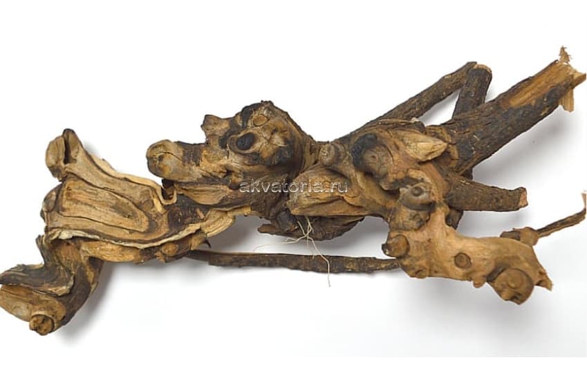 Коряга натуральная Magic Drift Wood, цена за кг