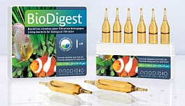 Гиперконцентрированный бактериальный препарат для запуска аквариума Prodibio BioDigest, 6 ампул