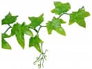 Искусственное растение Lucky Reptile Ivy Bush, 60 см
