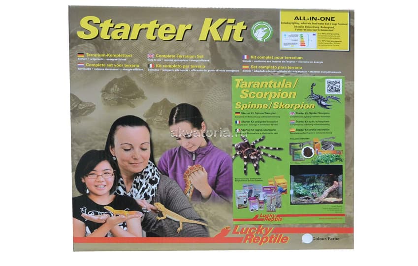Стартовый комплект для пауков и скорпионов Lucky Reptile Starter Kit Tarantula/Scorpion, 50×28×40 см, белый