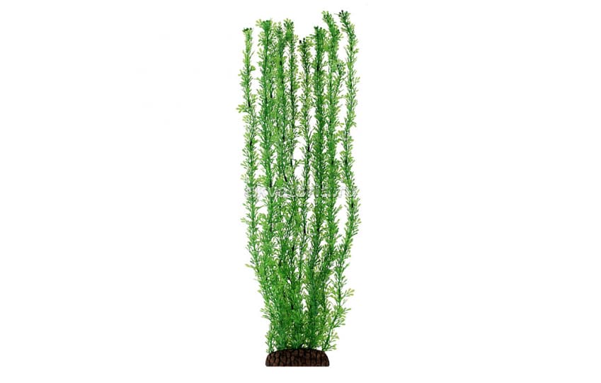 Искусственное растение Laguna Лигодиум зелёный, 50 см