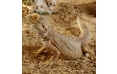 ExoTerra Sonoran Ocher Stone Desert грунт пустынный с глиной