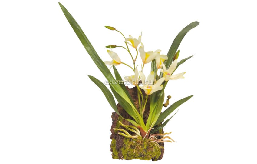 Искусственное подвесное растение Lucky Reptile "Орхидея белая", 40 см