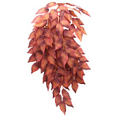 Искусственное растение Laguna Сингониум ампельный, красный, 37 см