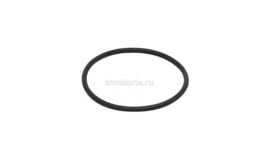Кольцо уплотнительное для помпы Hagen FLUVAL FX5FX/6.