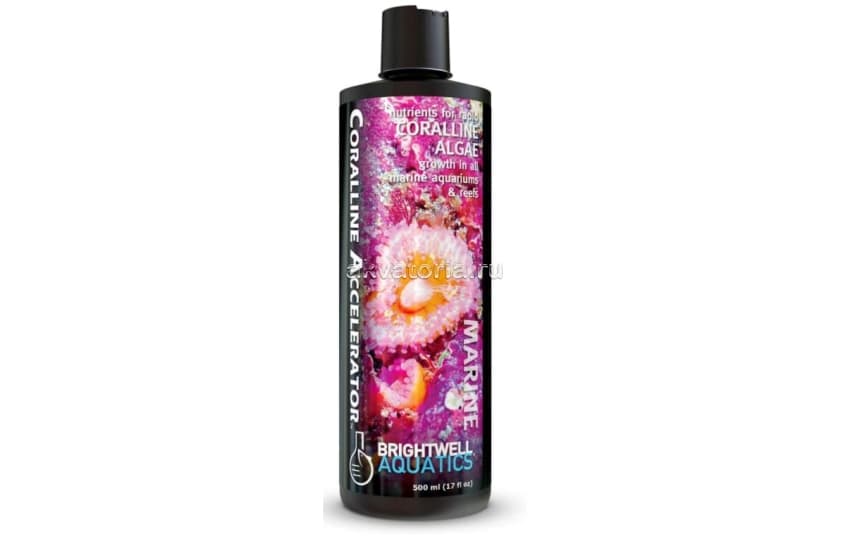 Питательная подкормка для жестких рифов Brightwell Aquatics Coralline Accelerator, 500 мл