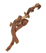 Натуральная коряга Gloxy Виноградная лоза, 50-60 см