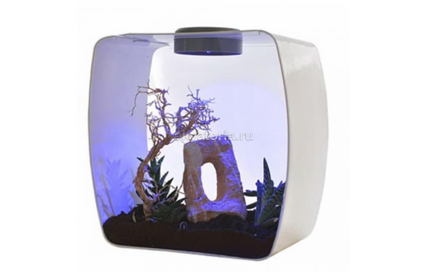 Инсектарий-аквариум Lucky Reptile Life Box, 30×18×30 см, фиолетовый